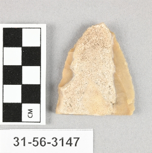 31-56-3147