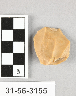 31-56-3155