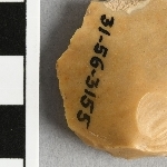 950705