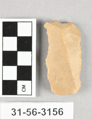 31-56-3156