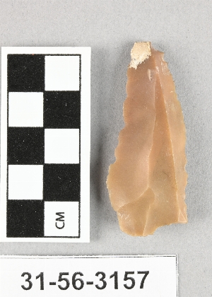 31-56-3157
