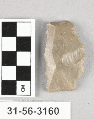 31-56-3160