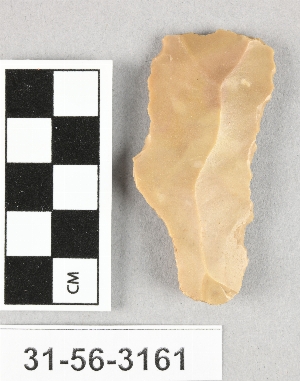 31-56-3161