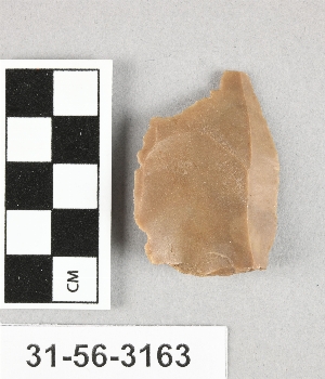31-56-3163