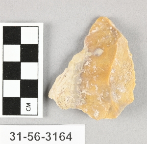 31-56-3164