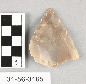 31-56-3165