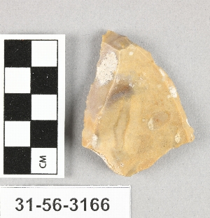 31-56-3166