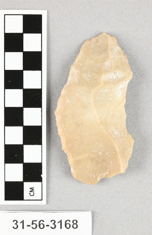 31-56-3168