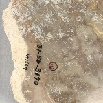 950766