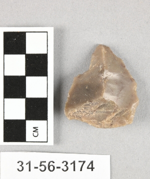 31-56-3174