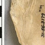 950793