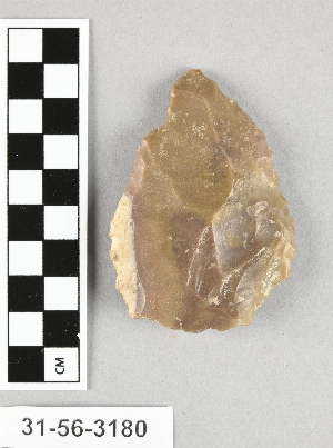 31-56-3180