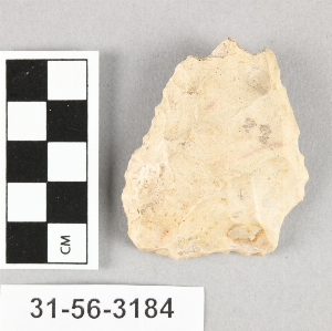 31-56-3184