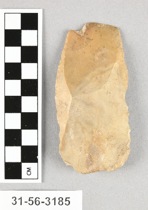 31-56-3185