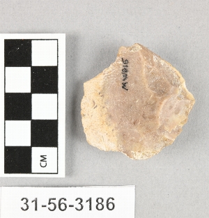 31-56-3186