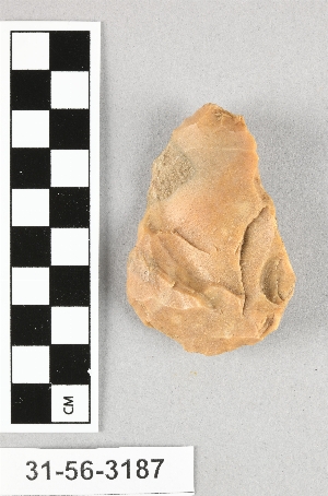 31-56-3187