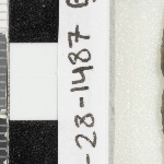 950828
