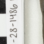 950829