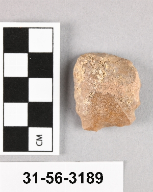 31-56-3189