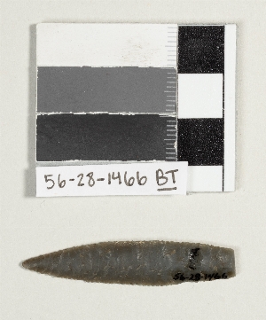 56-28-1466