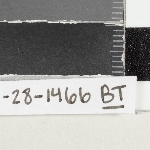 950850