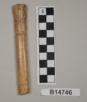 B14746