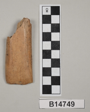 B14749