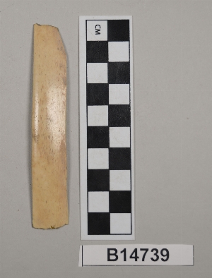 B14739