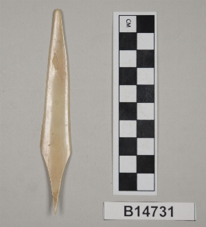 B14731