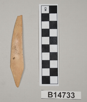 B14733