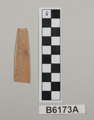 B6173A