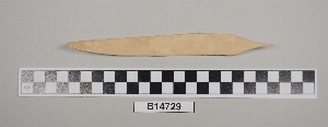 B14729