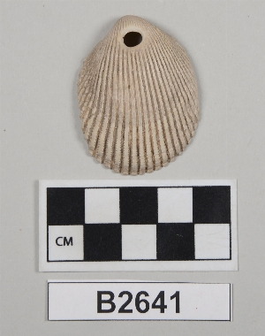 B2641