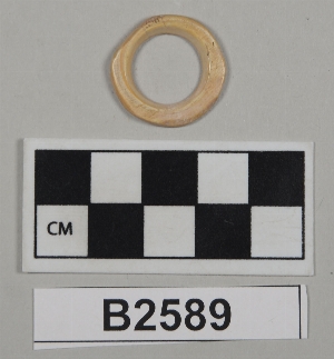 B2589