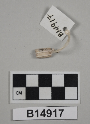 B14917