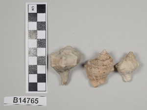 B14765