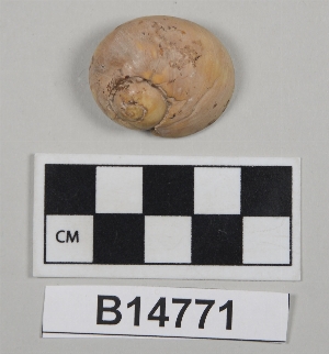 B14771