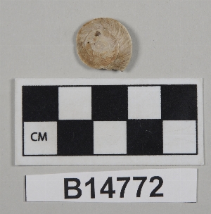 B14772