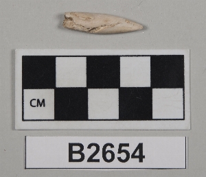 B2654