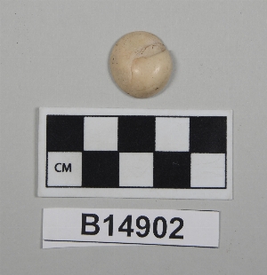 B14902