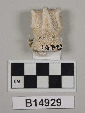 B14929