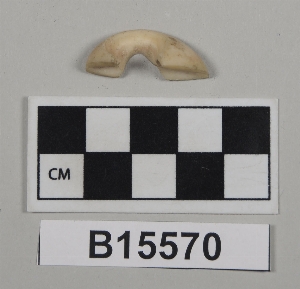 B15570