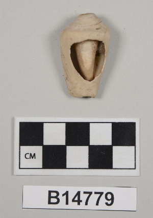 B14779