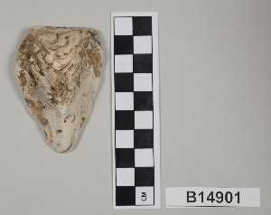 B14901