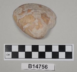 B14756