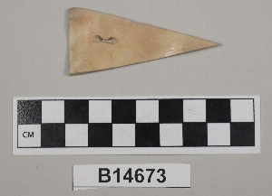 B14673