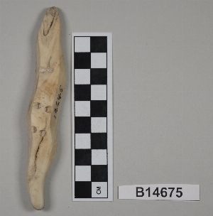 B14675