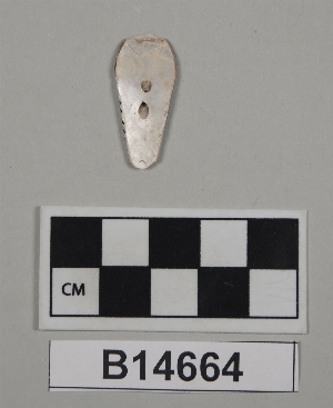 B14664