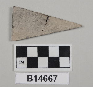B14667