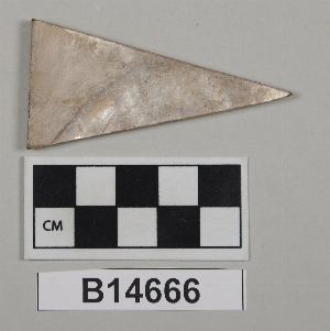 B14666